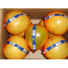 Pomelo / Frutas chinas frescas de buena calidad